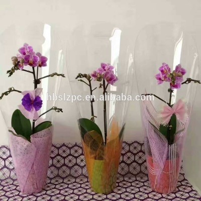 Fashionable and changeable PVC plastic transparent beautiful flowerpot